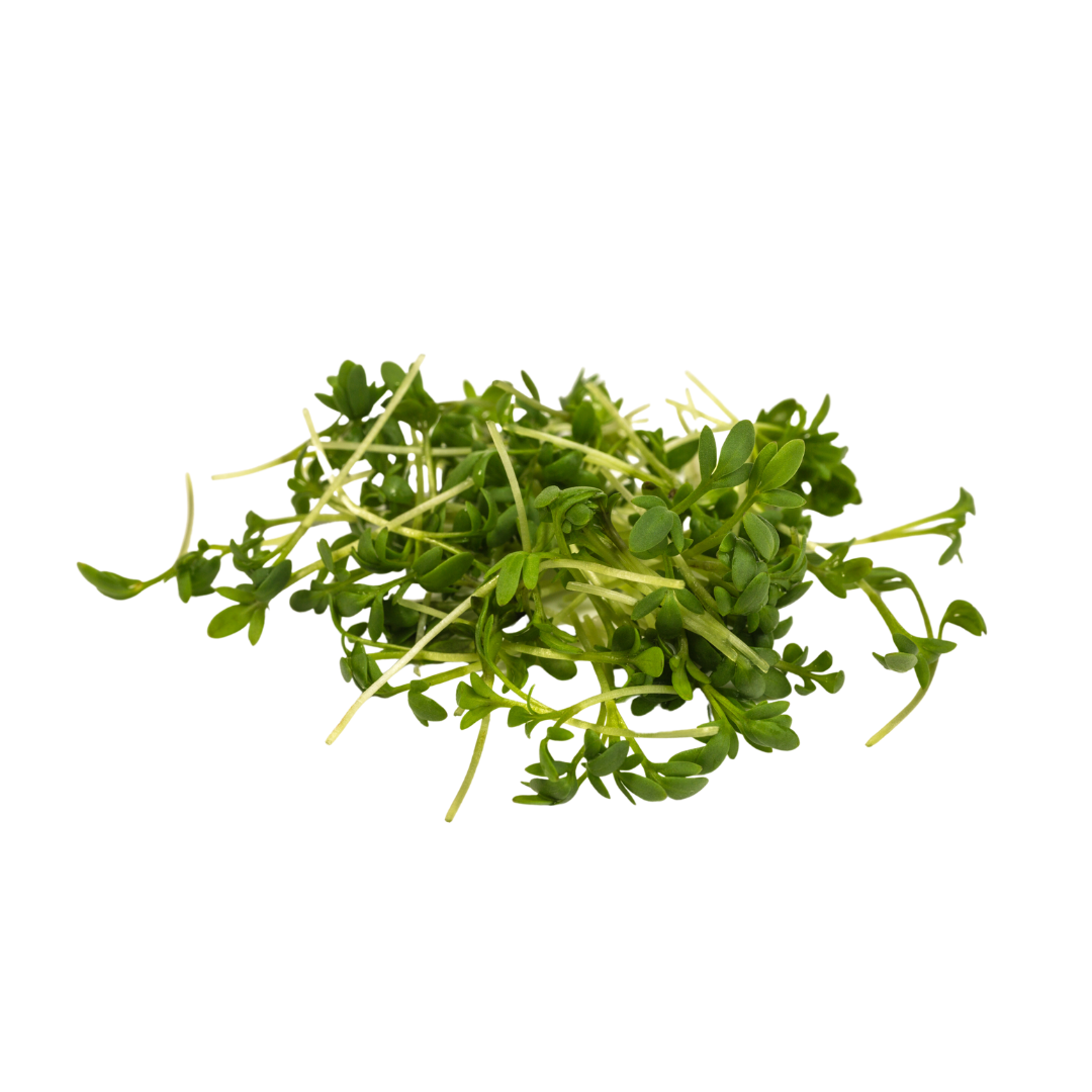 Kresse Schale Pfluger Mosisgreut