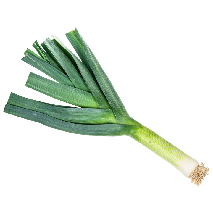 lauch-regional-245_720x.png